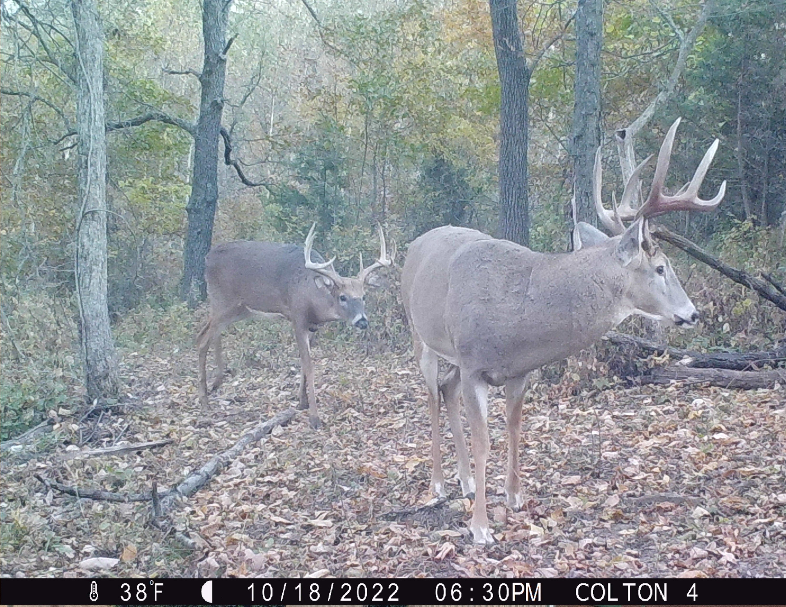 Listing Photo: 18661-IMG_0187 copy (1) - Copy